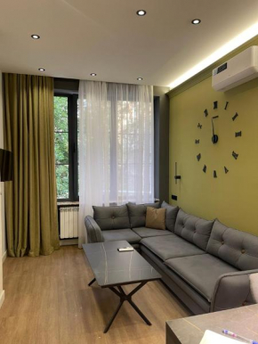 Miqayel Chaylaxyan 65 apartment number 3